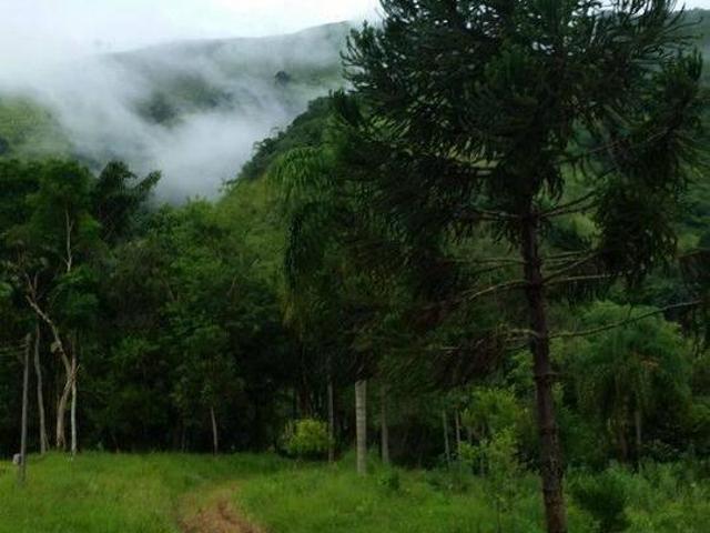 Sítio para venda em Centro, Adrianópolis