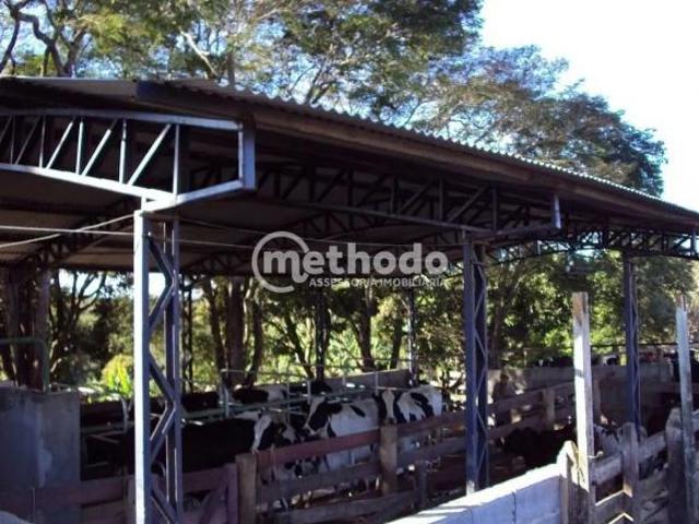 Sítio para venda em Centro, Alpinópolis