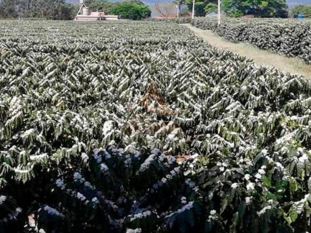 Sítio para venda em Centro, Altinópolis