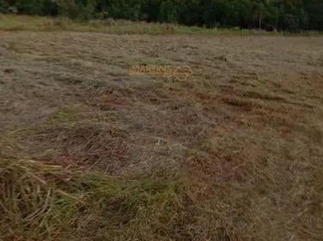 Sítio para venda em Centro, Araguari