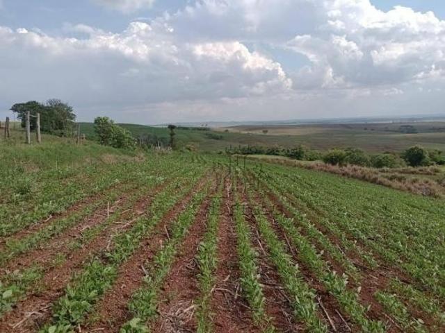 Sítio para venda em Centro, Bela Vista do Paraíso