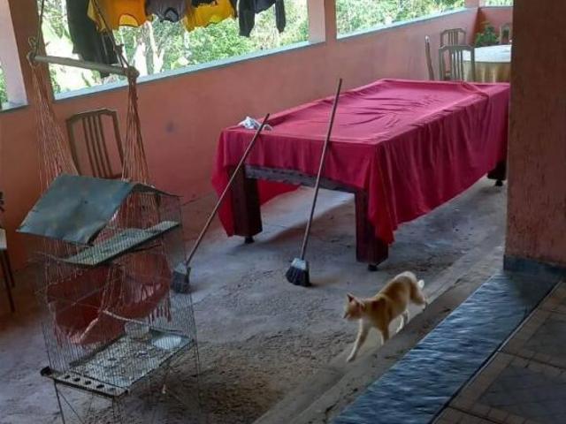 Sítio para venda em Centro, Bom Jesus do Amparo