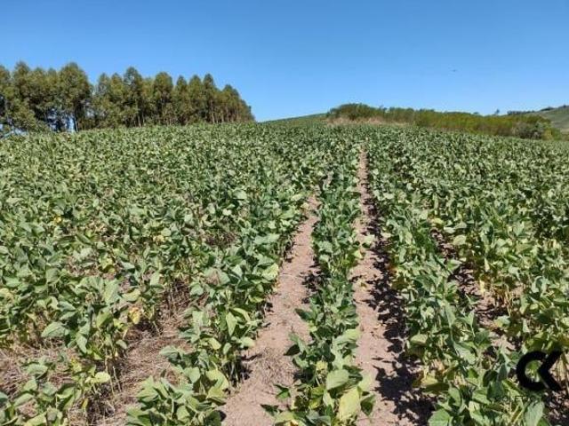 Sítio para venda em Centro, Caçapava do Sul