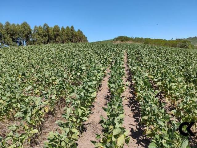 Sítio para venda em Centro, Caçapava do Sul