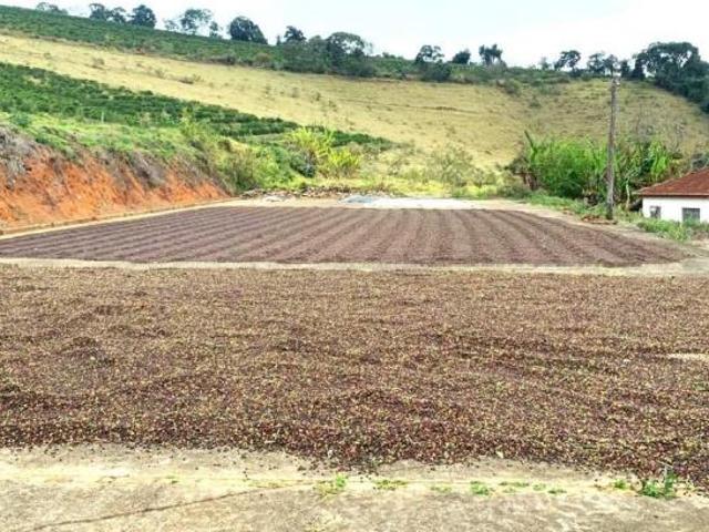 Sítio para venda em Centro, Cambuquira