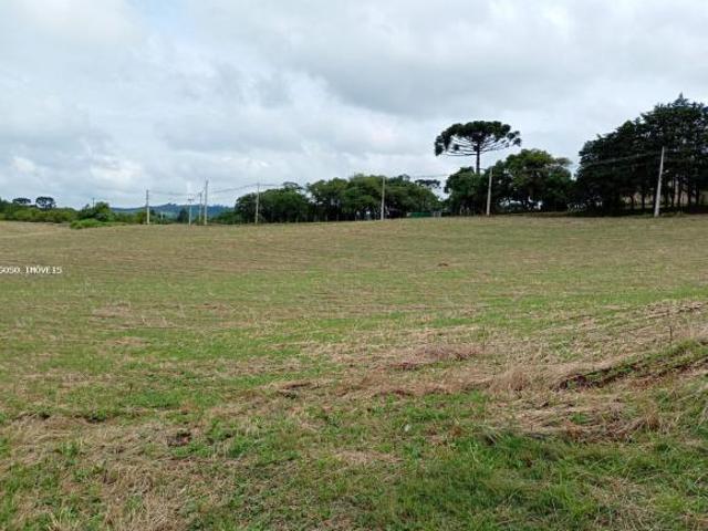 Sítio para venda em Centro, Campo do Tenente