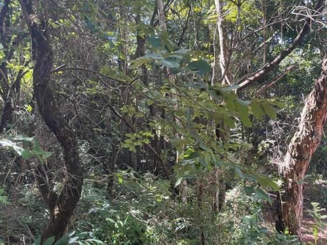 Fazenda para venda em Centro, Caeté
