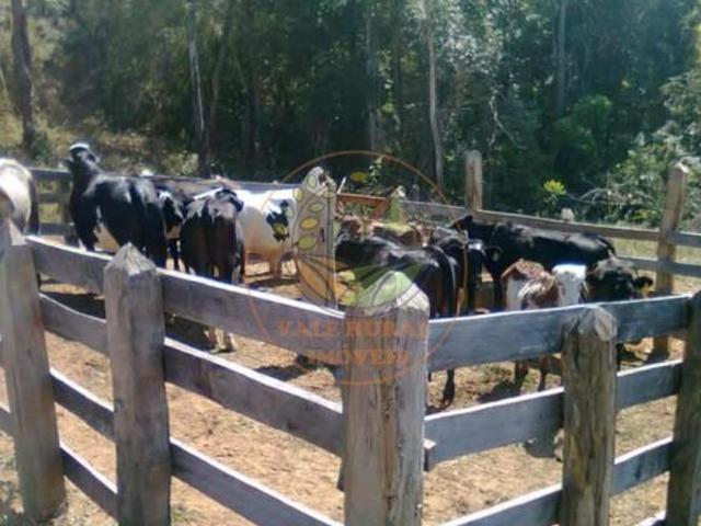 Sítio para venda em Centro, Carrancas