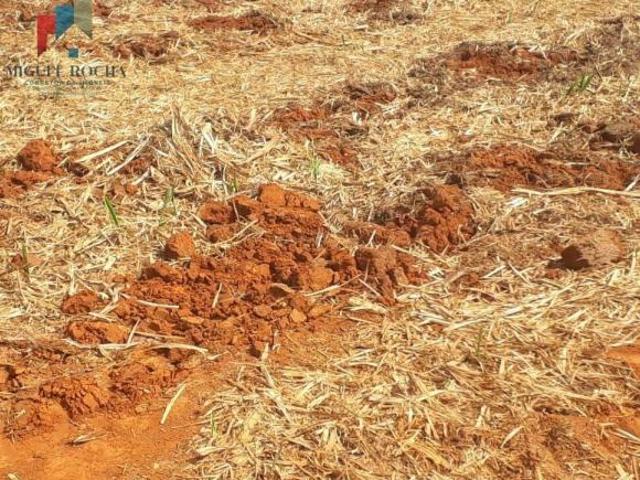 Sítio para venda em Centro, Cesário Lange