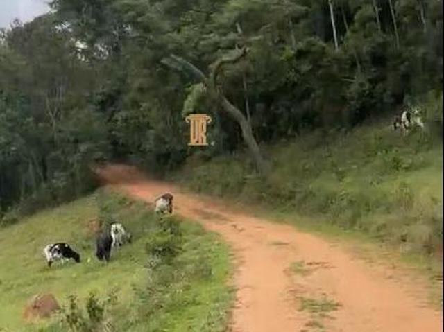 Sítio para venda em Centro, Conceição do Rio Verde