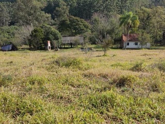 Sítio para venda em Centro, Guaíba