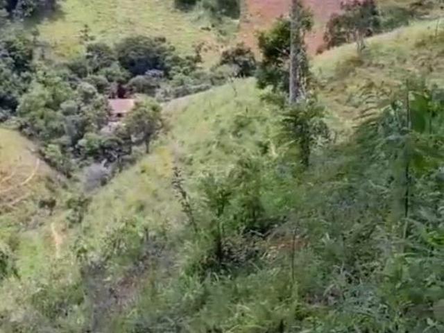 Sítio para venda em Centro, Guapiara