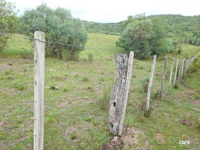 Sítio para venda em Centro, Lavras do Sul