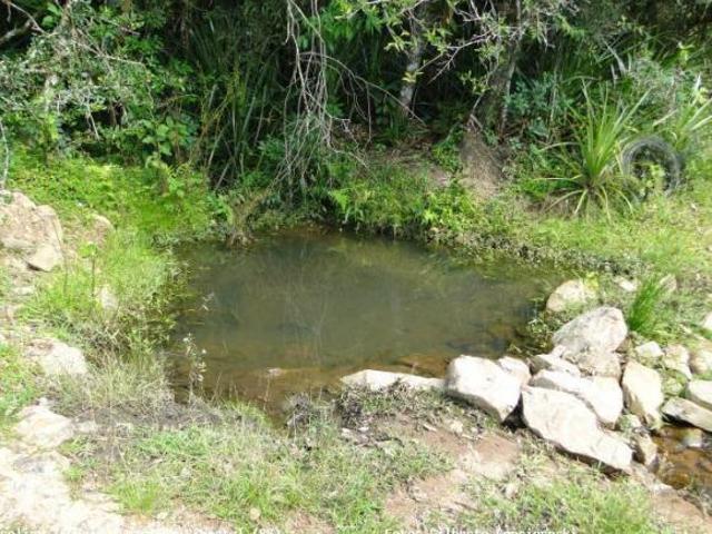 Sítio para venda em Centro, Mariana Pimentel
