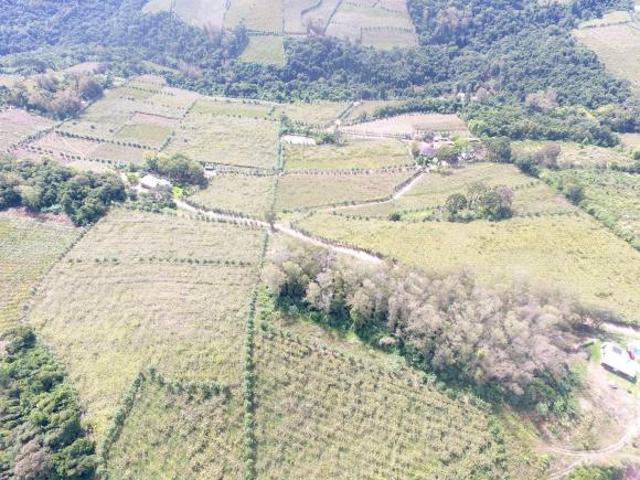 Sítio para venda em Centro, Monte Belo do Sul