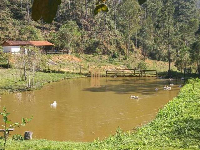Sítio para venda em Centro, Natividade da Serra