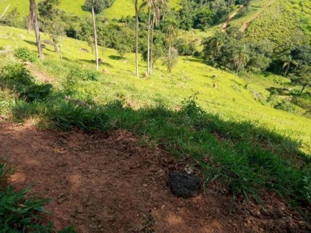 Sítio para venda em Centro, Nepomuceno