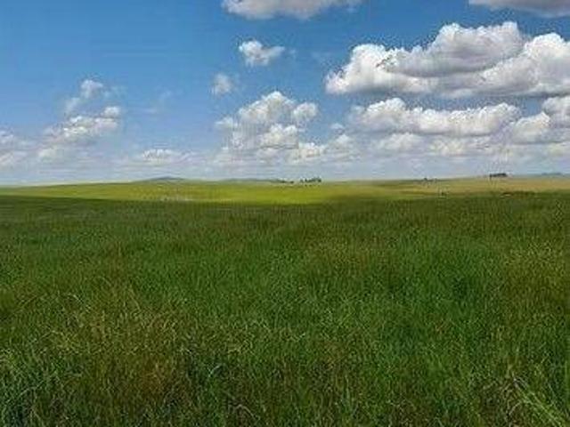 Sítio para venda em Centro, Pantano Grande