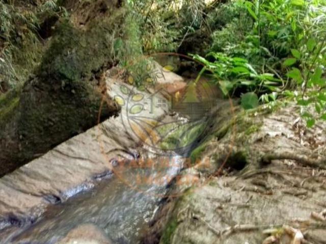 Sítio para venda em Centro, Paraisópolis