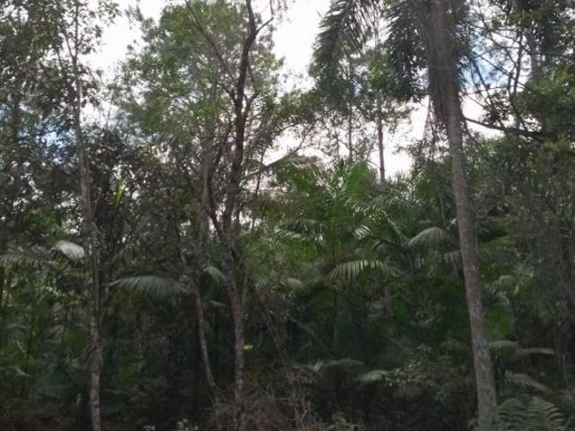 Sítio para venda em Centro, Pariquera Açu
