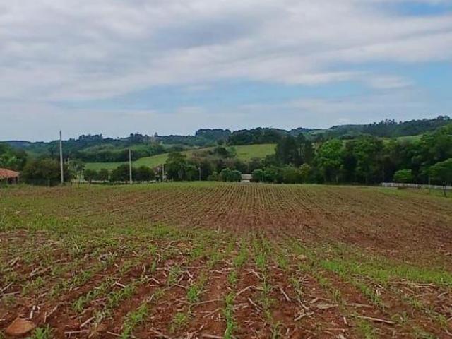 Sítio para venda em Centro, Passo do Sobrado