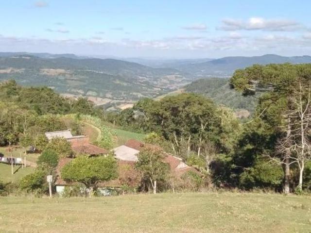 Sítio para venda em Centro, Pinhal