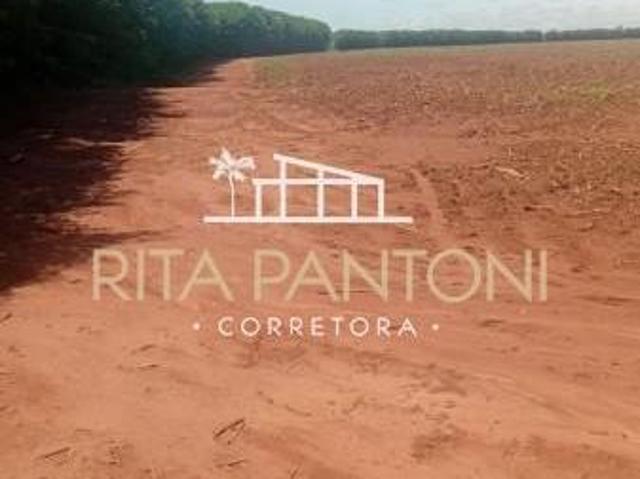 Sítio para venda em Centro, Porto Ferreira