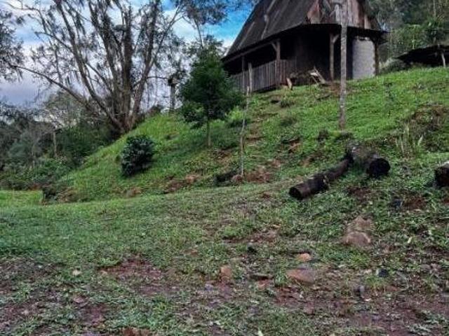 Sítio para venda em Centro, São Francisco de Paula