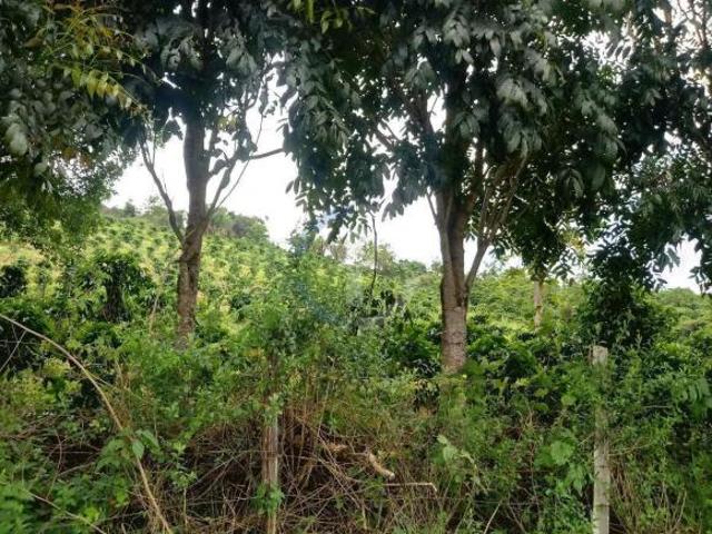Sítio para venda em Centro, São Sebastião do Paraíso