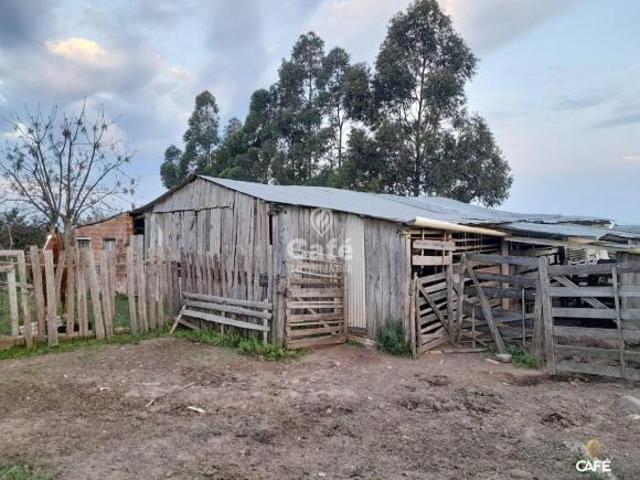 Sítio para venda em Centro, São Sepé