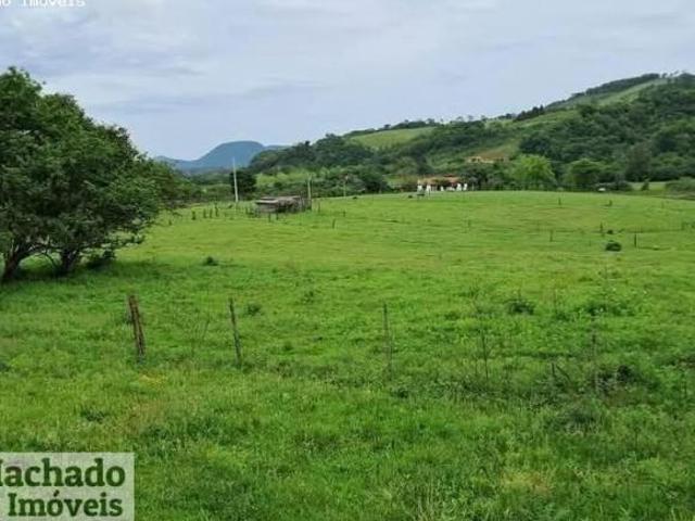 Sítio para venda em Centro, São Pedro do Sul
