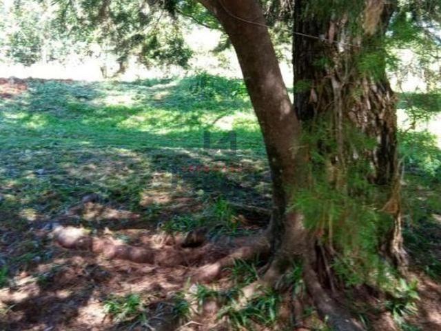 Sítio para venda em Centro, Santo Ângelo
