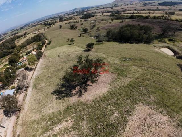 Sítio para venda em Centro, Santo Antônio da Platina