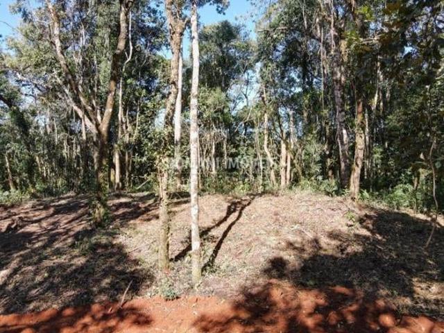 Sítio para venda em Centro, Santo Antônio do Pinhal