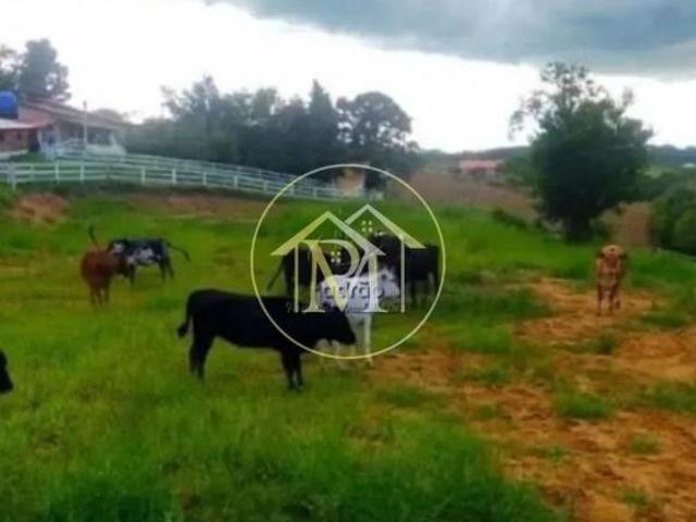 Sítio para venda em Centro, Sarapuí