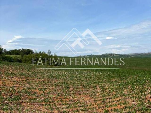 Sítio para venda em Centro, Sertanópolis