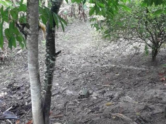 Sítio para venda em Centro, Sete Barras