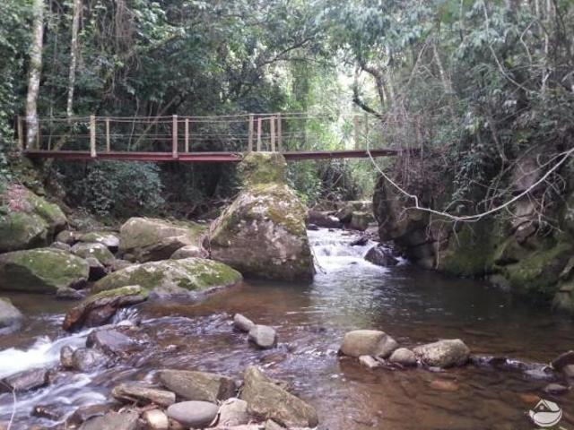 Sítio para venda em Centro, Silveiras