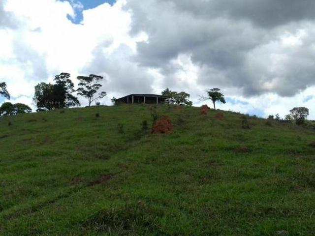 Sítio para venda em Centro, Silveiras