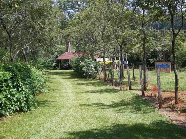 Sítio para venda em Cesário Lange