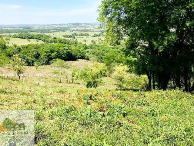 Sítio para Venda em Cesário Lange, Rural