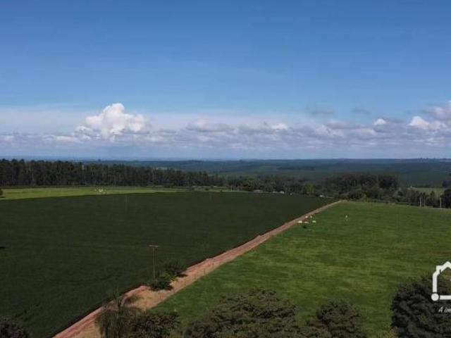 Sítio para venda em Cianorte
