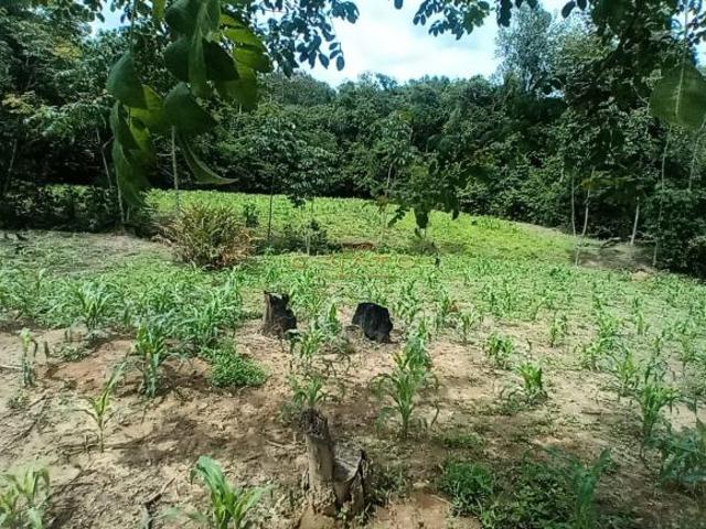 Sítio para venda em Cocalzinho de Goiás