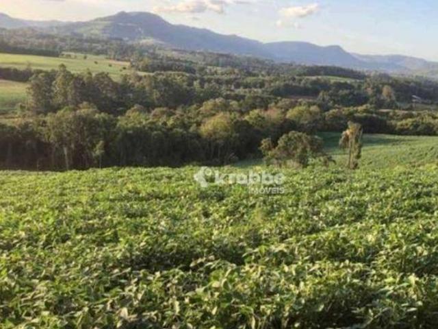 Sítio para venda em Colinas