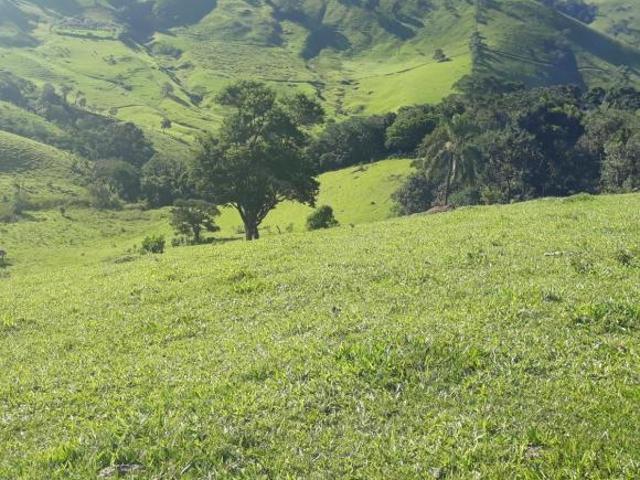 Sítio para venda em Delfim Moreira