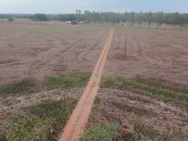 Sítio para Venda em Diamantino, Rural