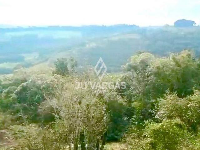 Sítio para venda em Distrito Vila Nova, Pelotas