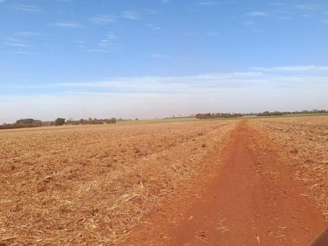 Sítio para Venda em Guaíra, RURAL