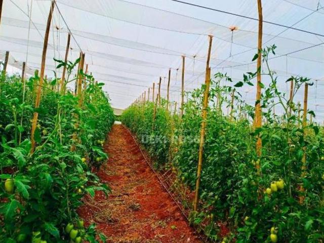 Sítio para venda em Guairacá, Londrina
