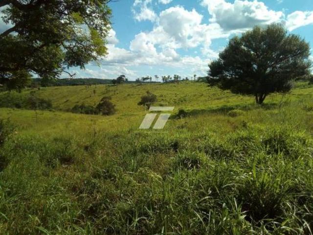 Sítio para venda em Guaraniaçu